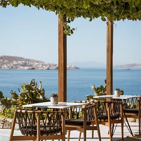 Mykonos Soul Luxury (adults Only) 酒店 圣斯特凡诺斯