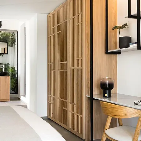 Hotel Mykonos Soul Luxury (adults Only)