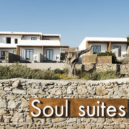 Mykonos Soul Luxury (adults Only) Hotel 4*
