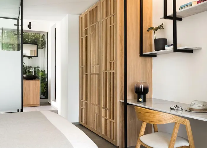 Hotel Mykonos Soul Luxury (adults Only)