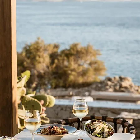 ホテル Mykonos Soul Luxury (adults Only)